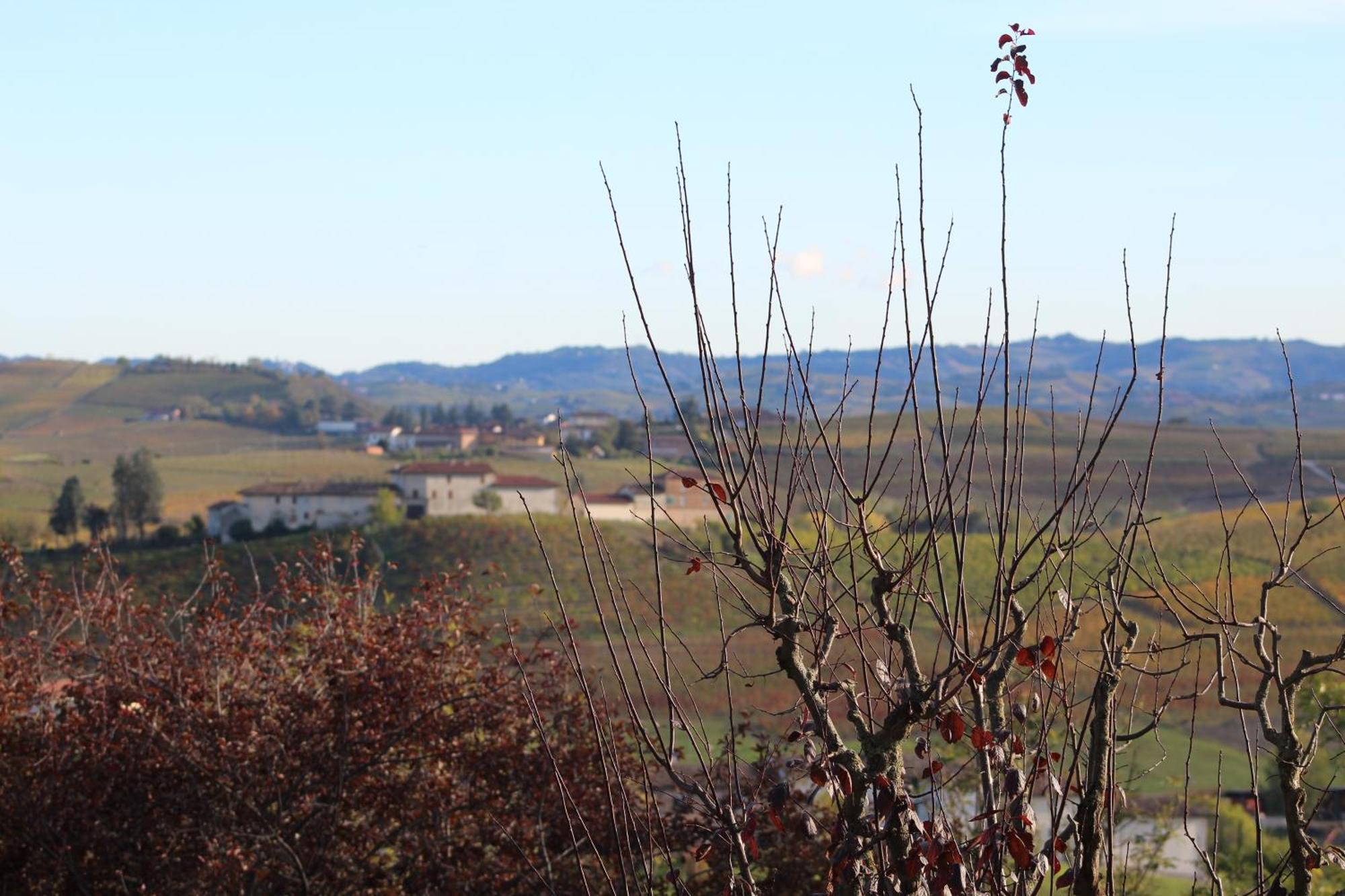 Locanda Del Boscogrande Montegrosso dʼAsti Eksteriør bilde