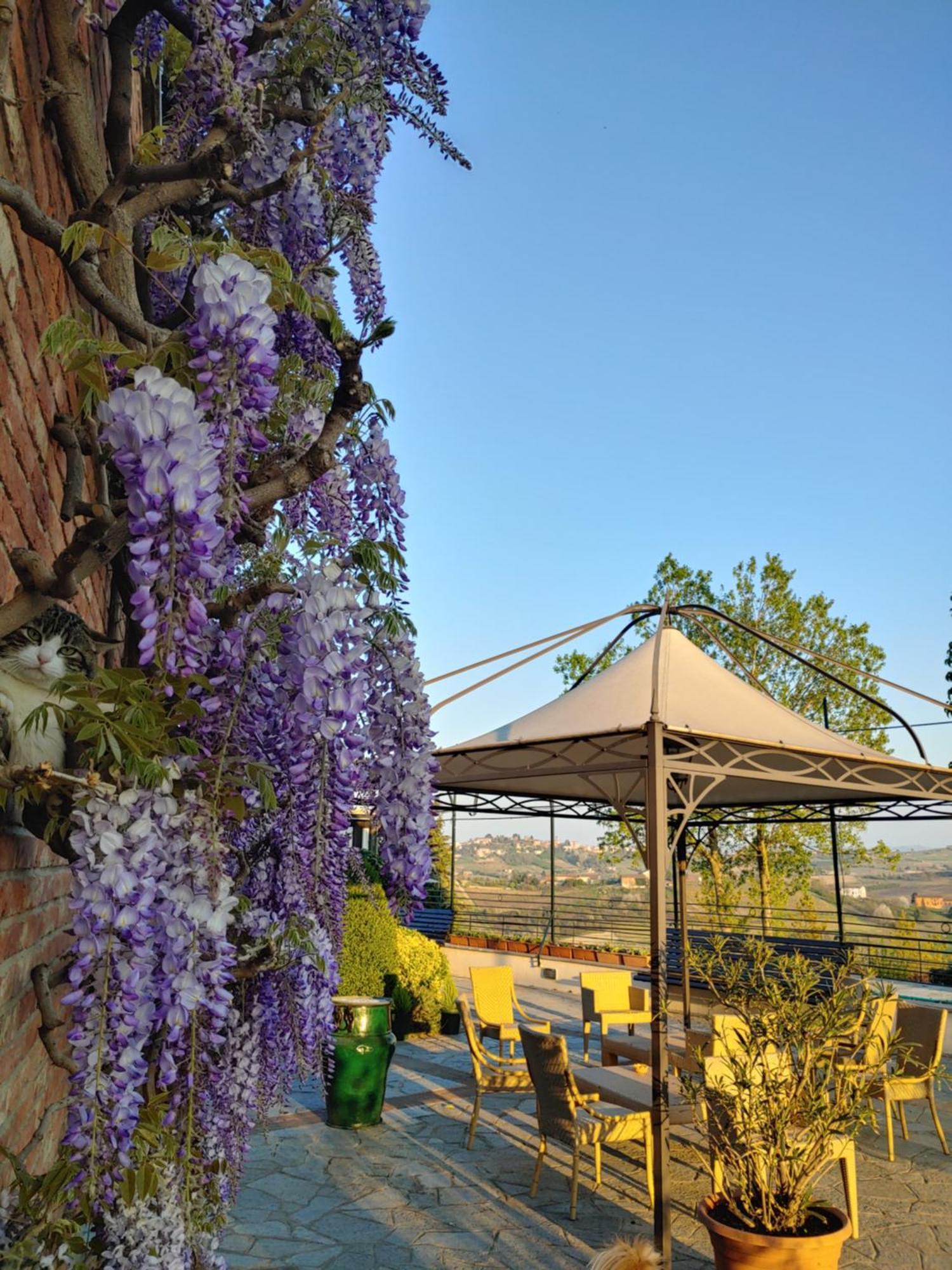 Locanda Del Boscogrande Montegrosso dʼAsti Rom bilde