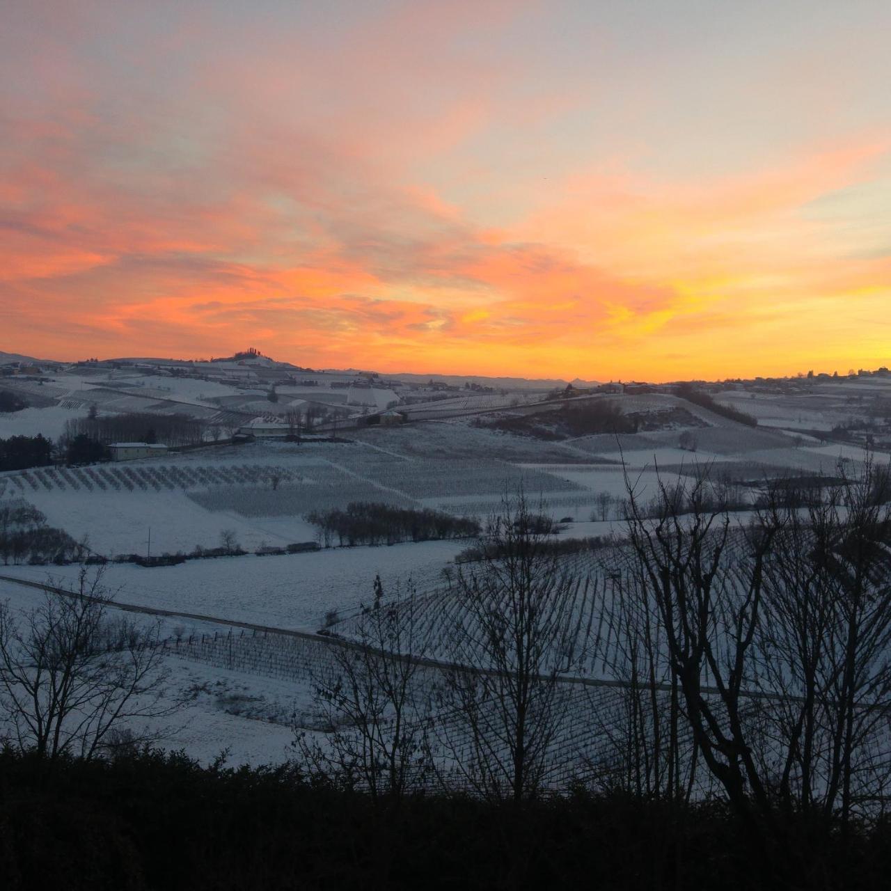 Locanda Del Boscogrande Montegrosso dʼAsti Eksteriør bilde